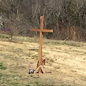 Meet your Posher, Jacqueline